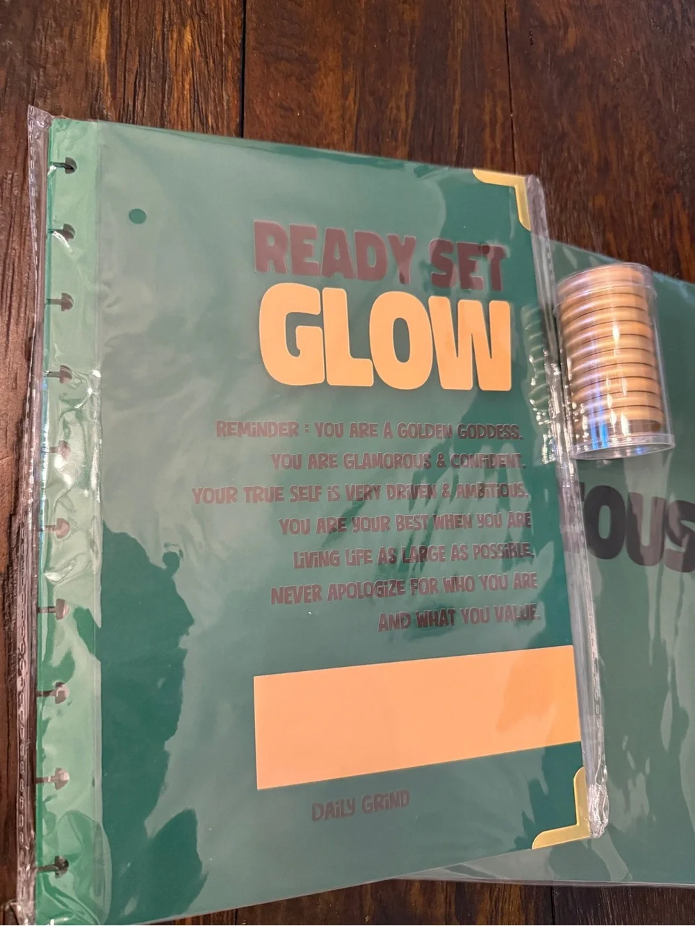Brand New The Daily Grind Planner cover and dividers